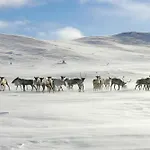 Luxury Home, Skiing, Sauna, Remote Office * 内斯比恩