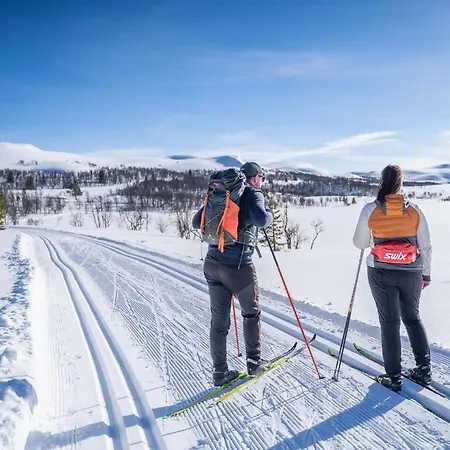 Luxury Home, Skiing, Sauna, Remote Office Дом отдыха Несбиен