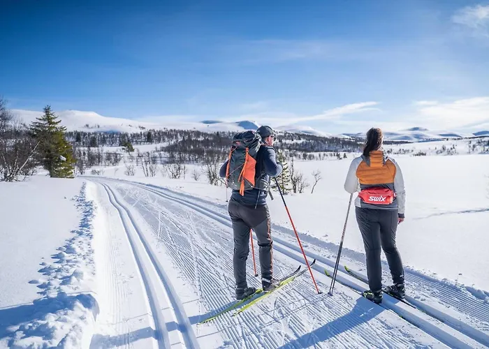 Luxury Home, Skiing, Sauna, Remote Office Σπίτι διακοπών Nesbyen