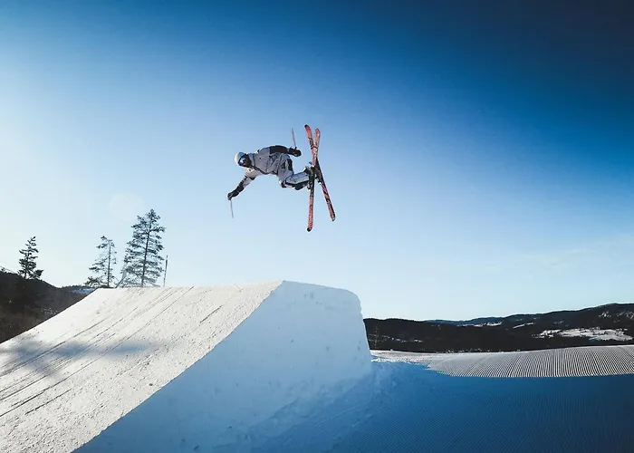 Luxury Home, Skiing, Sauna, Remote Office * Nesbyen