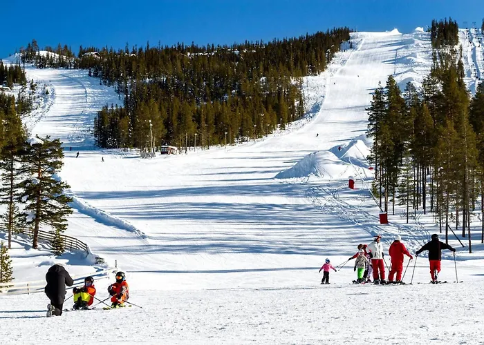 Luxury Home, Skiing, Sauna, Remote Office Feriehus Nesbyen