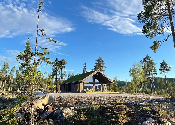 Luxury Home, Skiing, Sauna, Remote Office Nesbyen