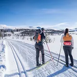 Luxury Home, Skiing, Sauna, Remote Office Dom wakacyjny Nesbyen