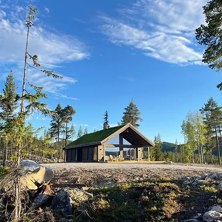 Luxury Home, Skiing, Sauna, Remote Office Nesbyen